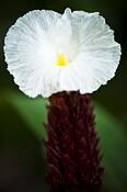 Untitled_1