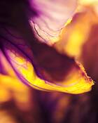 Untitled_2