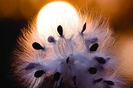 The_sun_is_going_to_bed