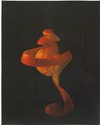 Orange_venus_3