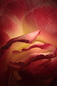 Untitled_3
