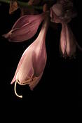 Untitled_5