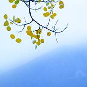 September_snow