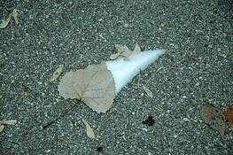 After_the_fall