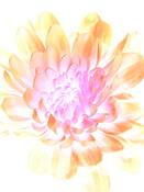Untitled_04