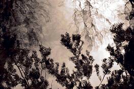 Untitled_4