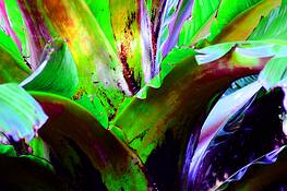 Untitled_6