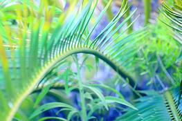 Untitled_7