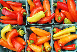 Peppers