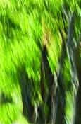 Untitled_1