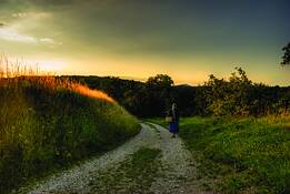 Road_to_haluzice