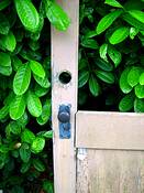 Door_and_hedge
