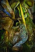 Baroque_leaf