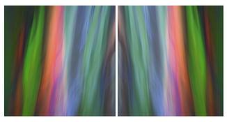 Painted_eucalyptus_iii