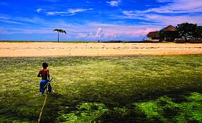 Island_hopping