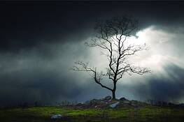 Rappahanock_light