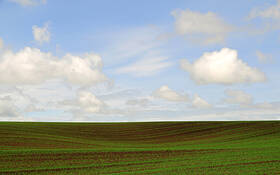 Idaho_field