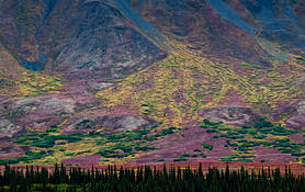 Tundra_highway_3