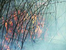 Fire_and_smoke
