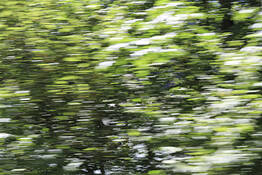 Motion