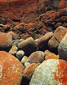 Lichen_and_rocks