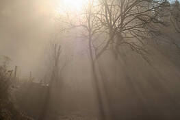 Untitled_5