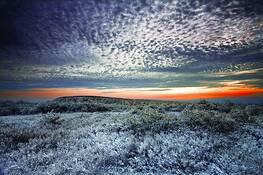 Ice_storm_1