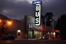 Greyhound