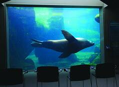 Discovery_channel
