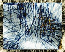 Untitled_1