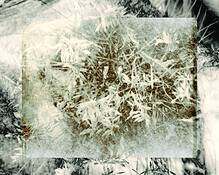 Untitled_2