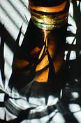 Multiple_shadows
