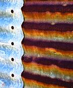 Siding__4
