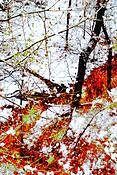 Winter_fantasy