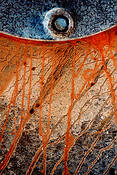 Nut_n_rust
