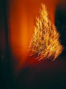 Something_remembered