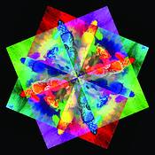 Lisanthus_kaleidoscope