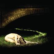 River_of_light