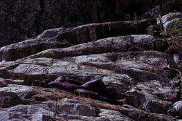 Man_and_stone