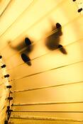 Untitled_6