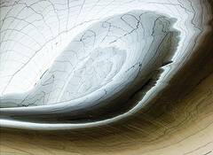 Vortex
