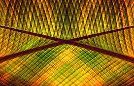 Botannical_stained_glass