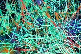 Fish_line_tangles