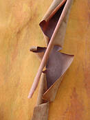 Madrone_6