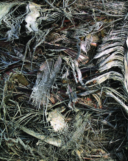 Shredded_bark