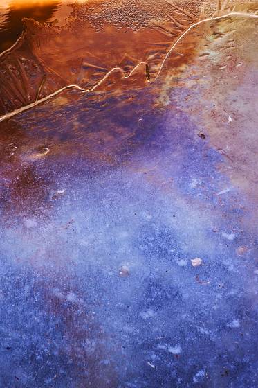 Abandoned_pool_in_winter