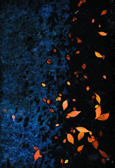 After_the_autumn_rain