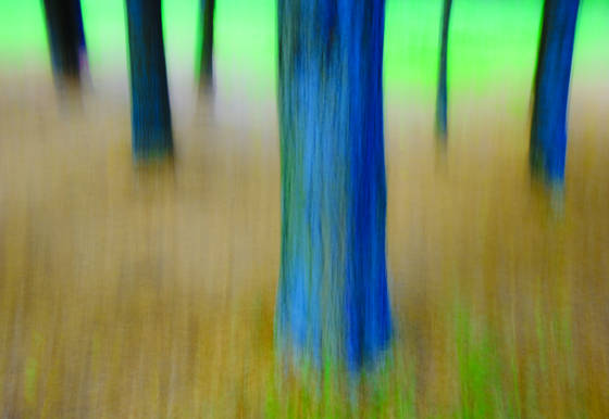 Untitled_3