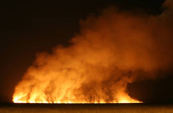 Everglades_wildfire