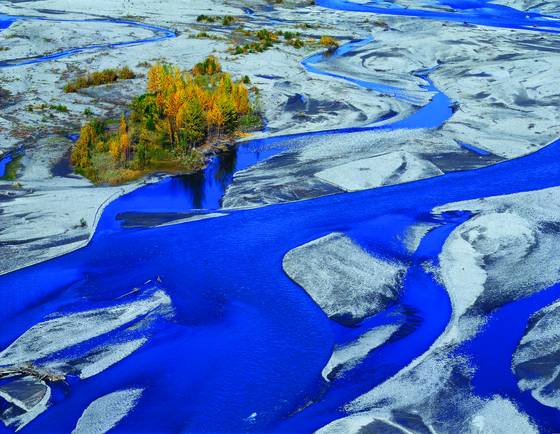 Trees_in_the_matanuska